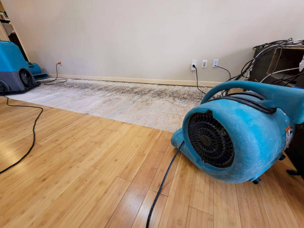 Professional Flood Damage Cleanup technician working in Berea, OH